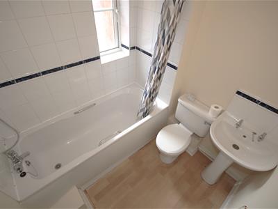 Picture 14